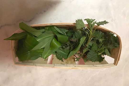 Kräuterkorb