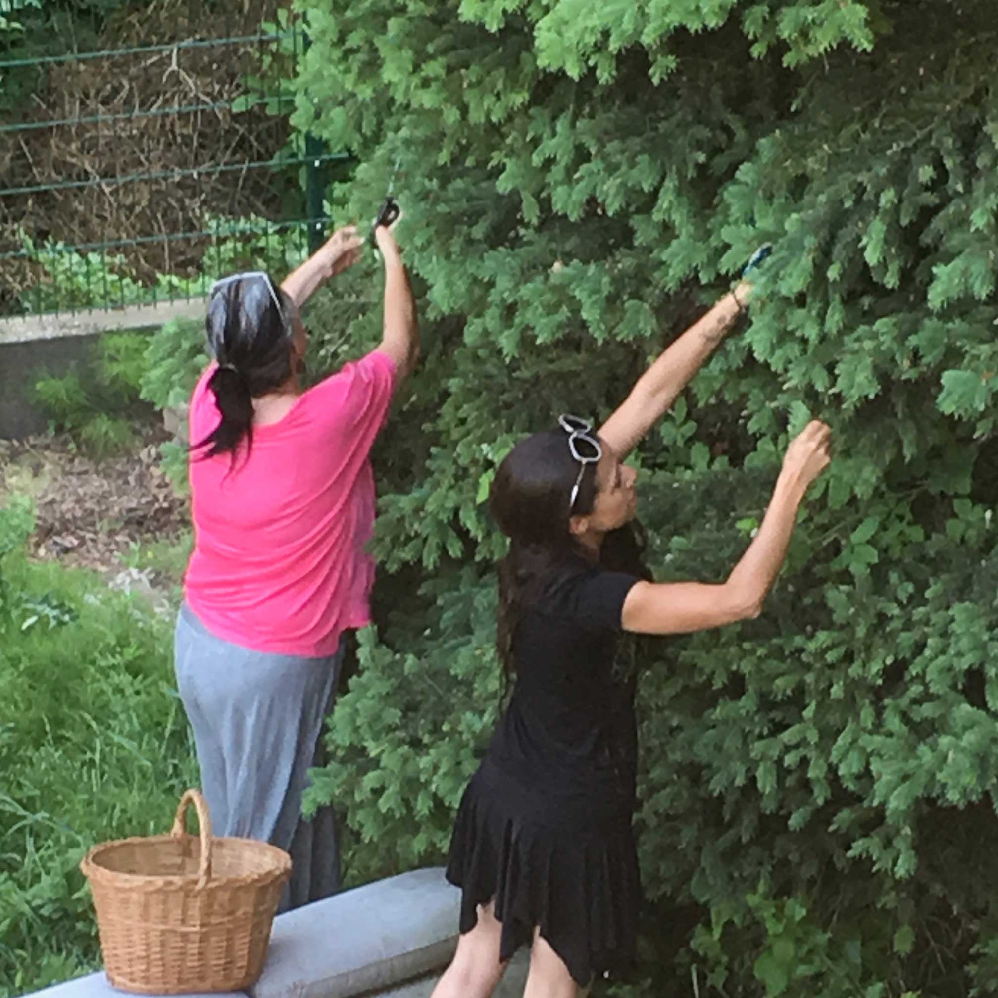 Foto: Alexa und Andrea beim Pflücken